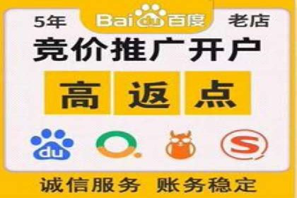 百度推广排名提升方案：某科技公司的成功经验